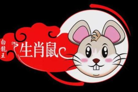 井井有条是什么生肖