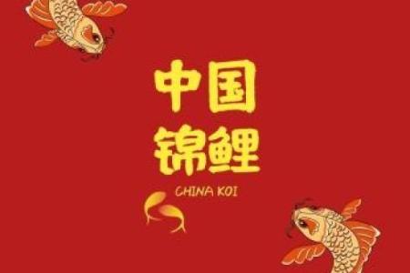 红色锦鲤寓意 红色锦鲤寓意什么
