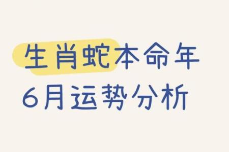蛇年运程2013生肖年运(生肖蛇2013年运势)