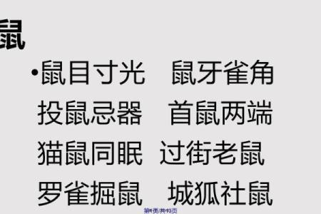 三番四次着个成语究竟指的是十二生肖中的哪一个动物呢？