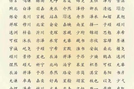 龙年公司起名 龙年新生儿起名大全免费起名