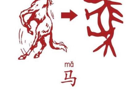 如日中天着个成语具体指的是十二生肖中的哪一个动物呢？