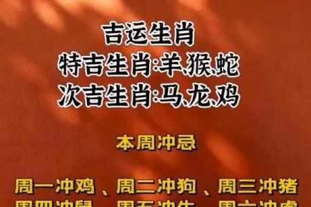 麦玲玲2013蛇年运程(麦玲玲玲2013生肖蛇)