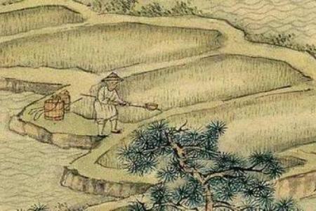 玉兔出宫有带宝打一最准生肖(玉兔出宫有带宝打一最准生肖龙)