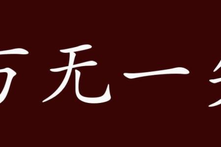 万无一失打一最佳生肖