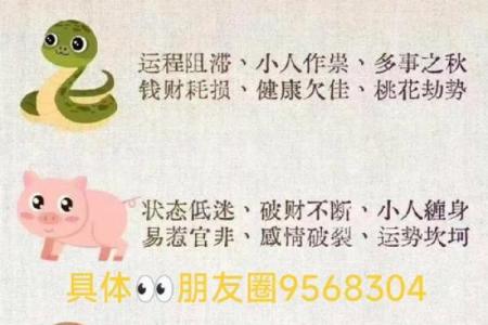软硬不吃是什么生肖(软硬不吃是什么生肖)