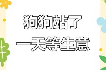 东张西望三大生肖 东张西望三大生肖
