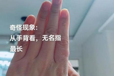 为什么食指比无名指长 为什么食指比无名指长的人更聪明