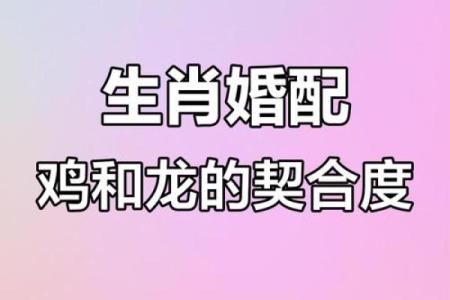 1965年属什么生肖配对最好 1965年属什么生肖配对最好婚姻