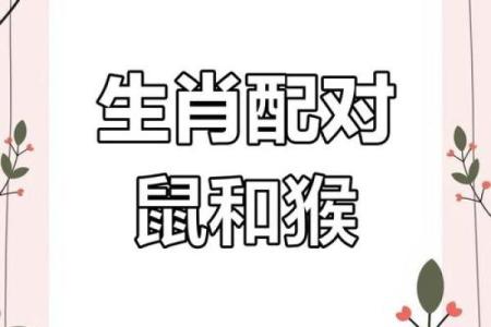 爱妻如命的三大生肖男 爱妻是什么生肖呢