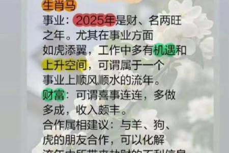 龙马精神三大生肖 龙马精神是什么生肖正确答案