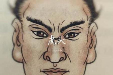 老虎眉毛有什么说法 老虎眉的命运好不好