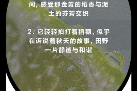 秋雨绵绵是什么生肖(秋雨绵绵是什么生肖,猜一个动物,正确解释,热点)