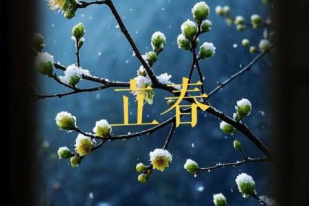 立春夫妻大忌(立春夫妻大忌是什么)