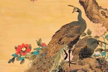 ‌故作姿态打一生肖 → 孔雀‌（孔雀开屏，矫饰逞妍）