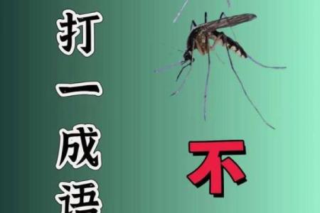 四时八节蚂蚁(四时八节打一动物生肖)
