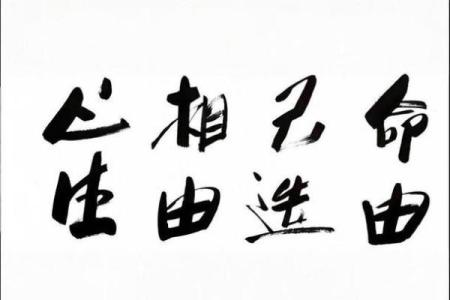 人各有天命 人各有天命,皆是注定