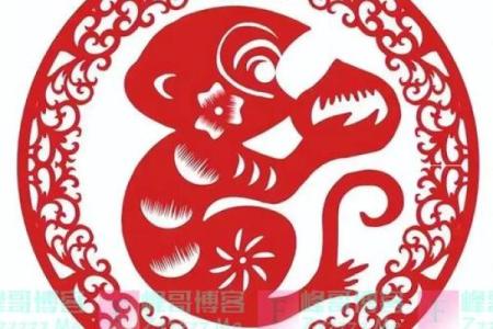 招蜂引蝶是什么生肖(招蜂引蝶形容哪个生肖)