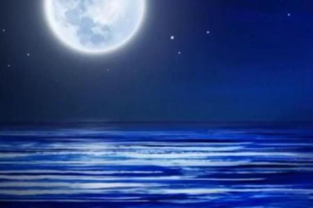 海什么什么月 海什么海什么的词语