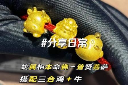 蛇年最旺的三大生肖 属蛇人在哪个生肖年好啊