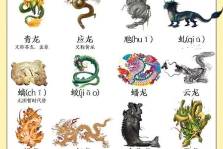 硬门槛子在十二生肖中代表什么动物，它的由来和传说是什么？