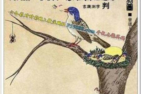恨之入骨猜一生肖