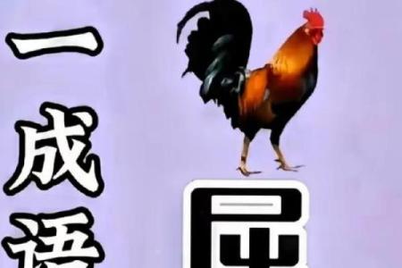 想了解因地制宜的含义，猜猜看它代表哪个生肖？