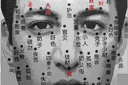 脸上痣的位置与命运 男人脸上痣的位置与命运图解
