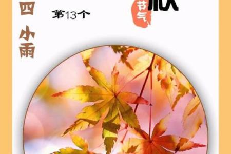 请问今年立秋的准确日期和具体时分是什么时候？