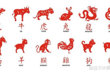 背上还有一个背腿边还有四条腿是什么生肖(背上还有一个背脚边还有四只脚是什么生肖)