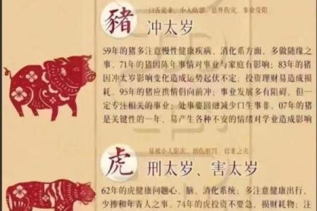 皮里阳秋着个成语具体指的是十二生肖中的哪一个动物呢？