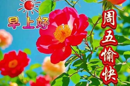 想知道三月七号是否真的是女神节以及相关习俗