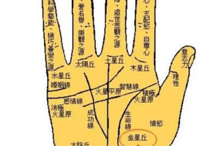 女人右手无名指比食指长代表什么意思 女人右手无名指有痣图解