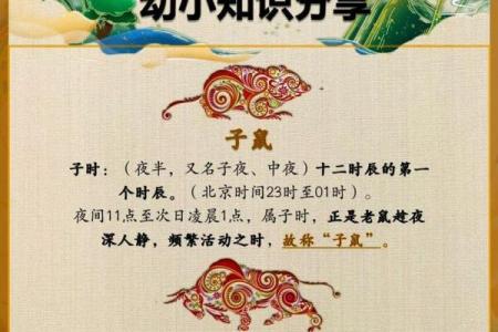后宫三千是什么生肖