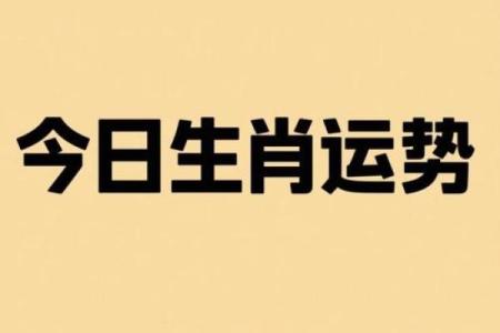 金榜题名指什么生肖 金榜题名打一个最佳生肖