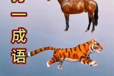 大街小巷打一生肖，着个成语指的是哪个生肖动物？