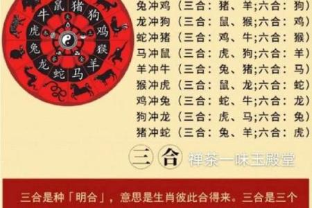 70岁是哪一年出生的 70岁是哪一年出生的属什么生肖
