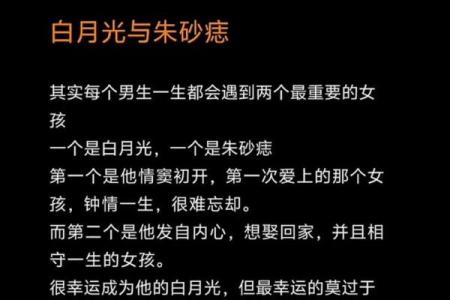 白月光朱砂痣的爱情含义 白月光 朱砂痣的含义