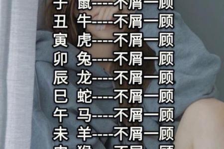 灰不喇唧代表什么生肖