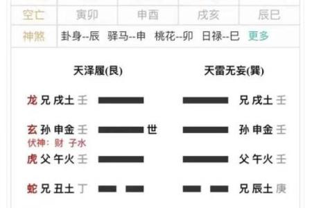 当代六爻高手排名,民间六爻高手卦例
