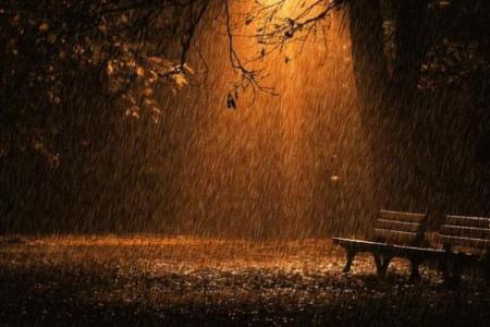 秋雨绵绵代表什么生肖？解析与天气相关的生肖寓意