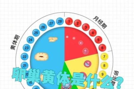 黄体期是哪几天 黄体期是哪几天图表
