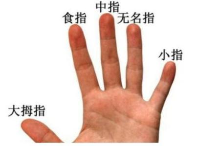 食指和无名指一样长 食指和无名指一样长有什么寓意