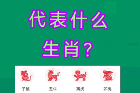 时间飞逝代表哪个生肖，有什么寓意和象征意义