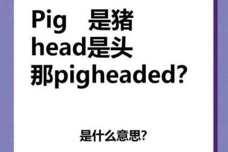 ‌一意孤行指什么生肖 → 猪（猪性固执，孤行己见）‌