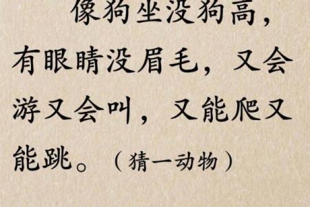 治乱扶危所指的生肖究竟是哪一个，完整谜语答案揭晓