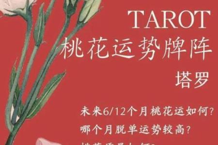 预测桃花运(预测桃花运牌阵)