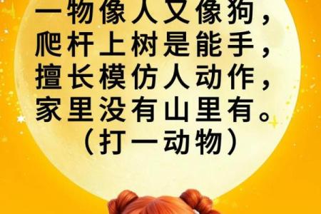 适合元宵节猜的趣味灯谜20条附带答案分享
