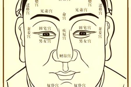 右边眉毛断了面相学意味着什么 右边眉毛断了是怎么回事