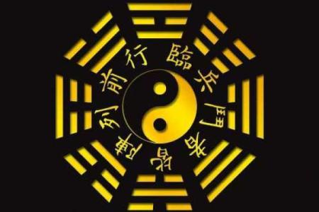 阴阳二分打一生肖